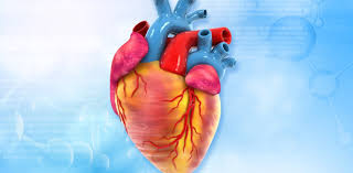 Lipid Profile