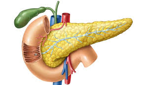 Diabetes Profile Basic